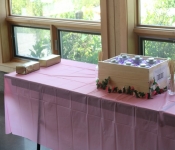 2020 08 30 ToriBabyShower 004